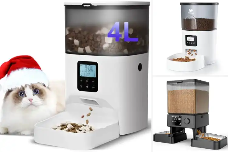 Detailed view of Best Automatic Feeders