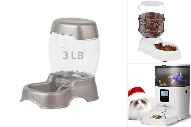 Detailed view of Best Cat Feeders: Top 10 Picks for Hassle-Free Mealtimes