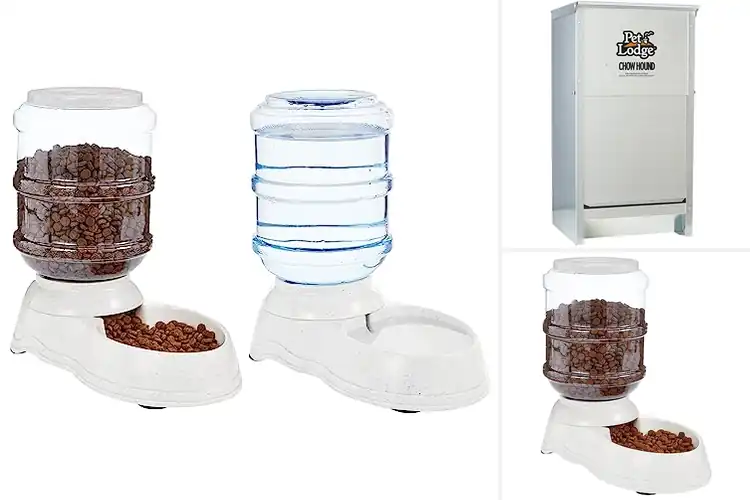 Detailed view of Best Dog Feeders: Top Picks for Happy, Healthy Pets