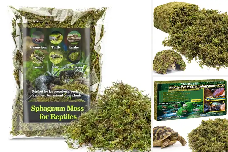Detailed view of Best Moss Beddings
