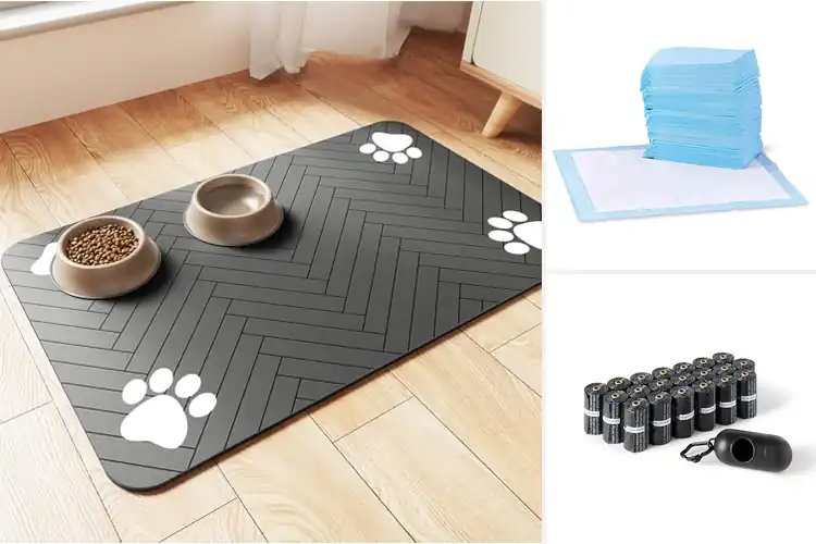 Detailed view of Best Pet Accessories