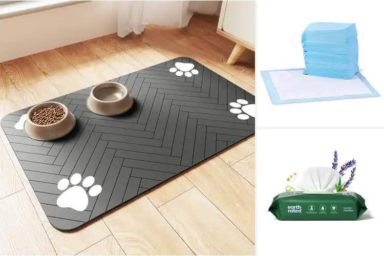 Detailed view of Best Pet Products: 10 Must-Haves for Happy, Healthy Pets
