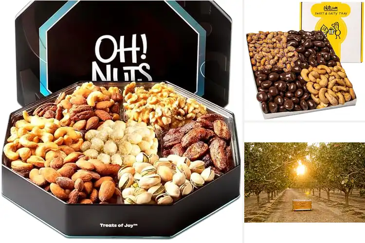 Detailed view of Best Premium Nut Gifts